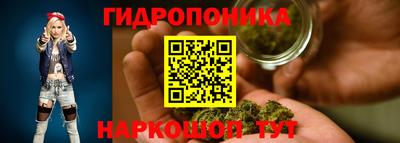 Альфа ПВП Можайск