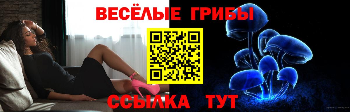 Галлюциногенные грибы мухоморы Радужный